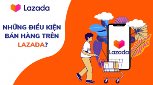 Các cách lên Lazada Mall năm 2024 - ECOMAX Lazada Mall