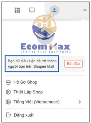 Shopee Mall là gì? Có nên đăng ký Shopee Mall không và làm gì để duy trì danh hiệu? Thông báo xét duyệt Shopee Mall