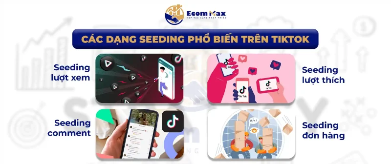 Seeding TikTok: 4 Bước Giúp Gia Tăng Uy Tín, Ra Đơn Ổn Định Các dạng seeding TikTok phổ biến