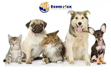 19+ Loại Sản Phẩm Vi Phạm Shopee Người Bán Phải Tránh Thực vật và động vật