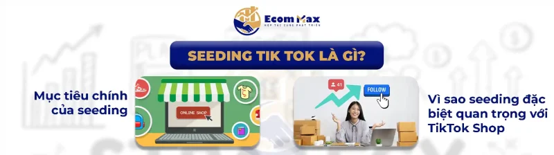 Seeding TikTok: 4 Bước Giúp Gia Tăng Uy Tín, Ra Đơn Ổn Định Seeding TikTok là gì?